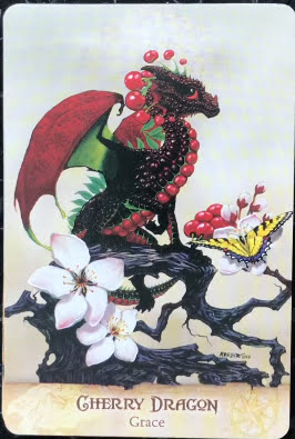 Field Guide to Garden Dragons